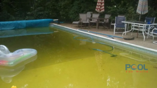 Nước hồ bơi màu "vàng chanh" hay "tím ngắt"? Cách dùng Đồng SUNPHAT CuSO4.5H2O